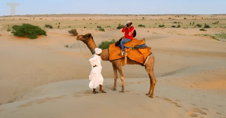 Guide to Royal Desert Safari Jaisalmer Tour