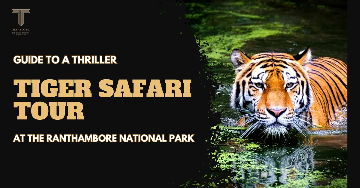 Guide to a thriller Tiger Safari Tour at the Ranthambore National Park
