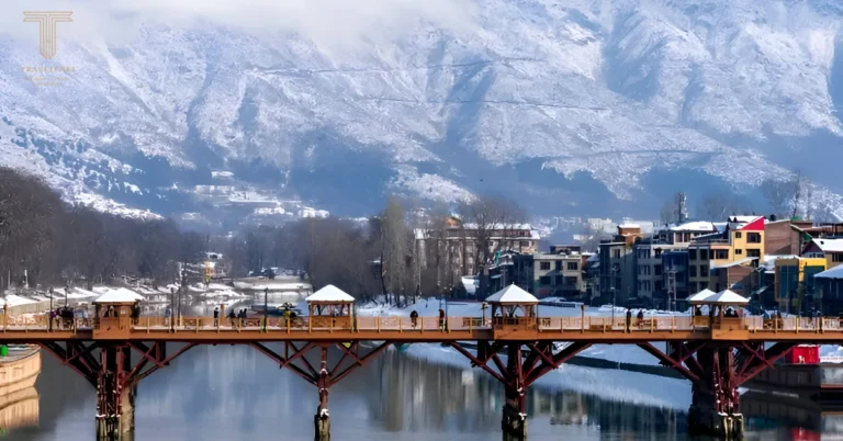 KASHMIR PARADISE TOUR