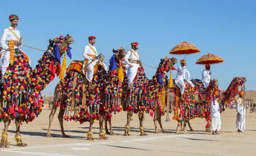 rajasthan tours